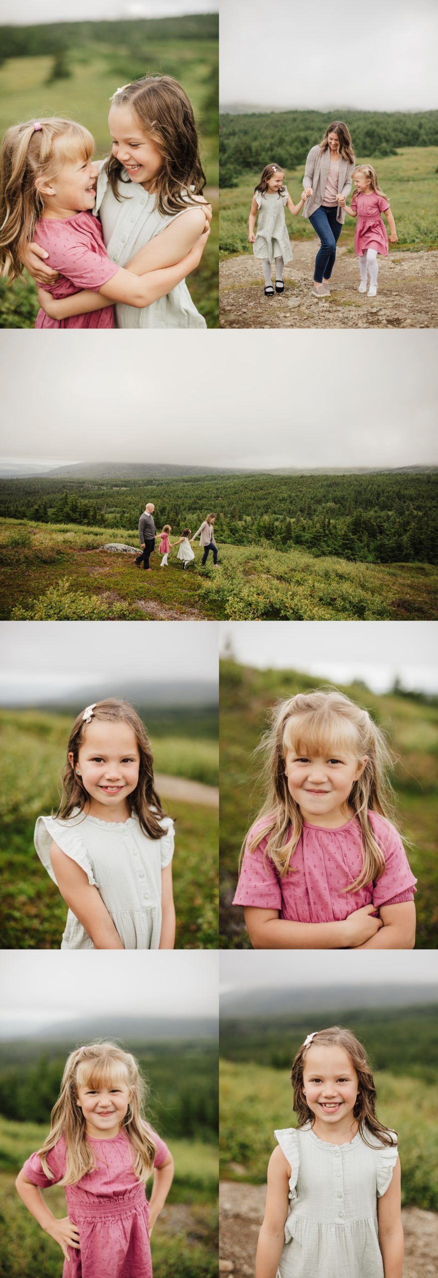 Summer Outdoor Family Session on Flattop Mountain in Anchorage with two little girls and the family dog